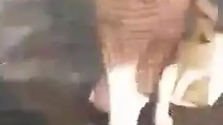 مراهق هاوي يسجل فتاة مغربية ممحونة تتعرى في الأماكن العامة