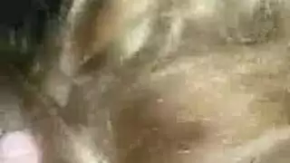 مهبل أفريقي مبلل يلتهم قضيبًا صلبًا سميكًا