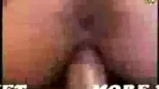 سسكيسس زب السمين مص قوي