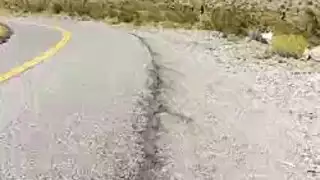 تعلیم البوس محارم