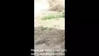 نيك علي الموتوسيكلg79v0s1rfqfl