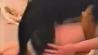 سكس حيوانات معا بنات مترجم