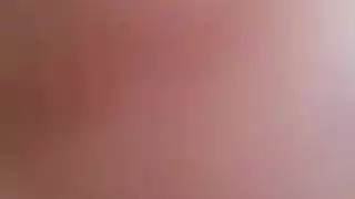 الاسكتلندي بوت أسود الهرة الأكل